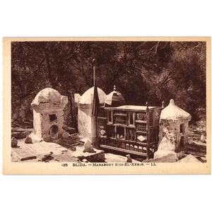 Blida Marabout Sidi-El-Kebir LL Algeria Postcard